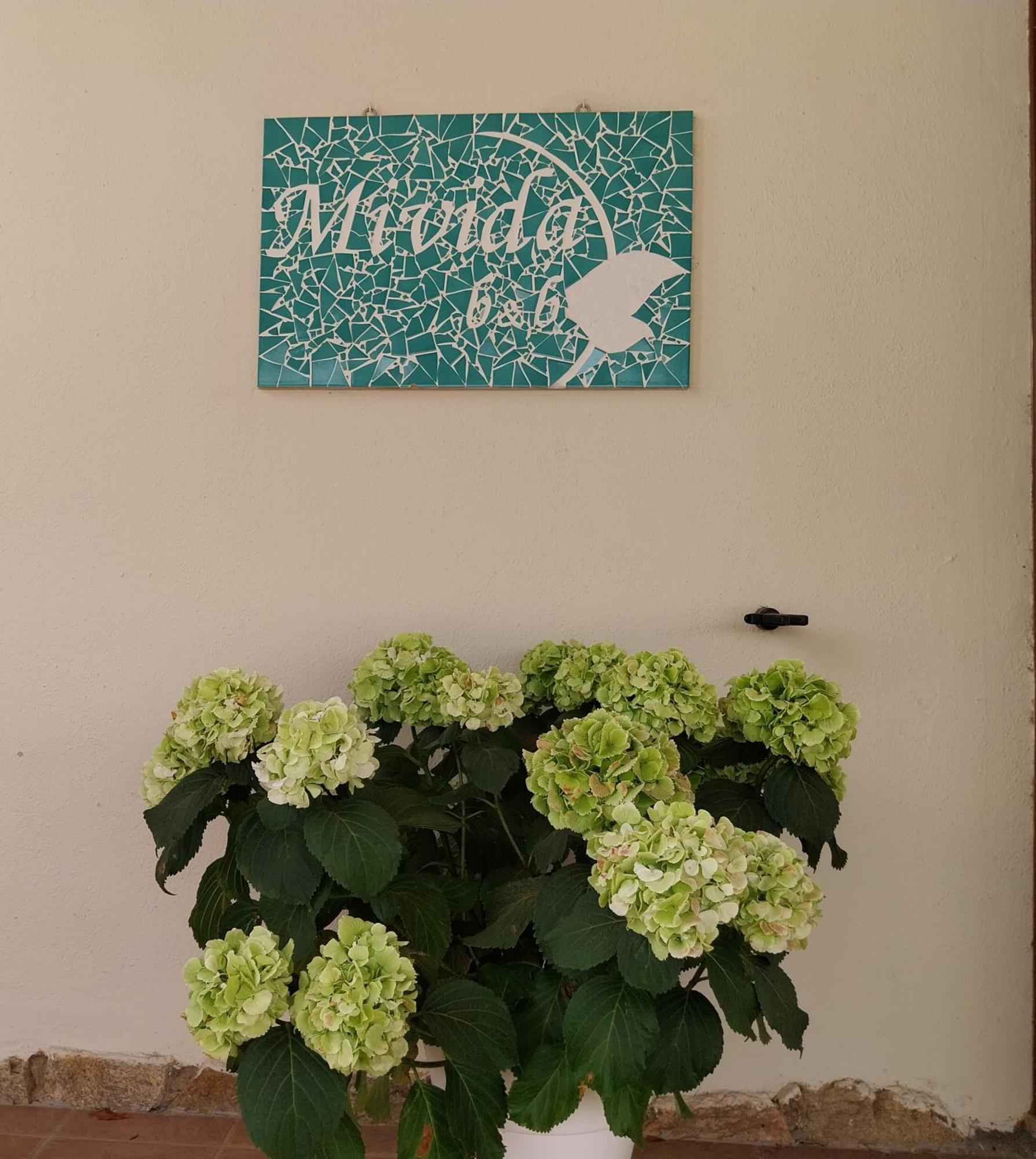 산테오도로 Mivida "Le Stanze Di Ada" B&B 외부 사진